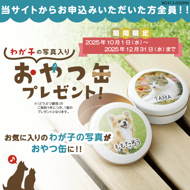 AjRۂ̂킪q̎ʐ^肨ʃv[g