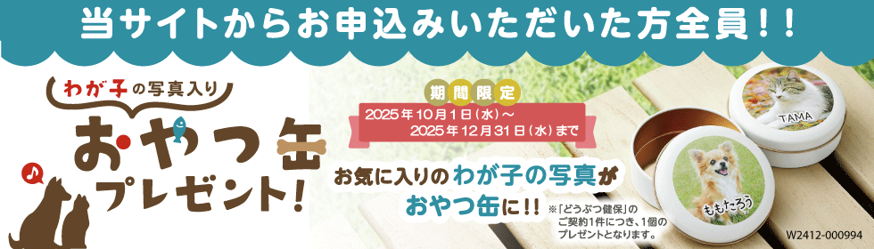 AjRۂ̕یCibvyڍׂ͂z