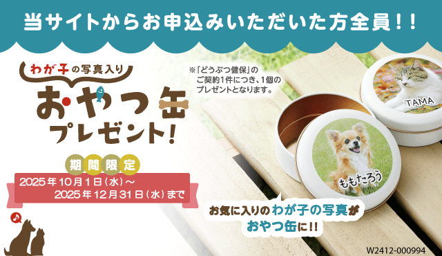 AjRۂ̕یCibvyڍׂ͂z